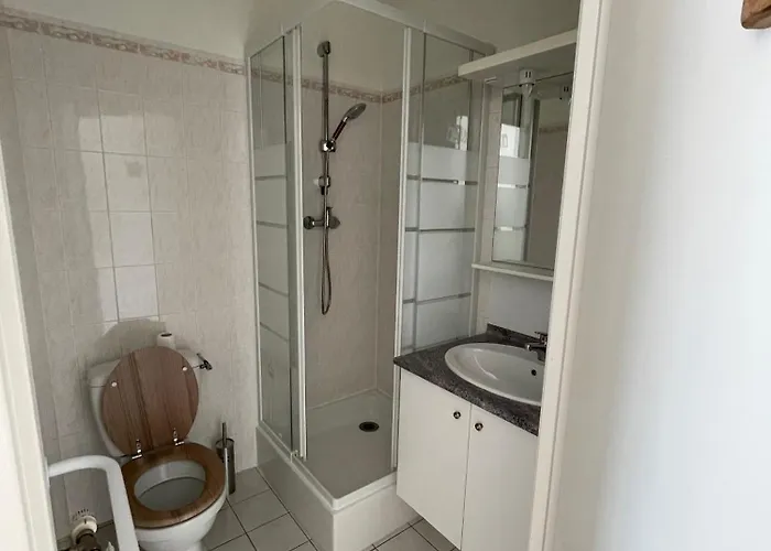 Le Logis De Sally Apartamento La Foret-sur-Sevre